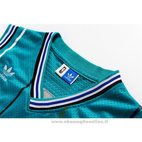 Maglia Charlotte Hornets Dell Curry NO 30 Throwback Verde